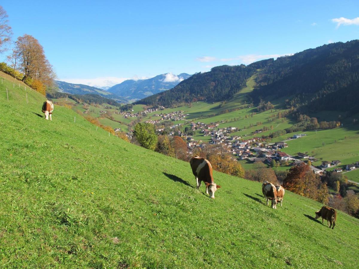 Leitnerhof Niederau Exterior foto